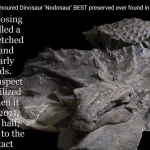 どう見ても怪獣。ほぼ完全な生きていた当時の恐竜の姿が残っている化石がやばい！！