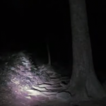 【九州の山の怪】夜の山で１人、どこからか人の話し声が聞こえる「誰かいるんですかー」→声の方に行くとゾッとした