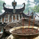中国に行ったせいで私はもうすぐ死ぬ。嫌だ！死にたくない！