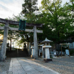 あ！神社の木で人が首吊ってる…