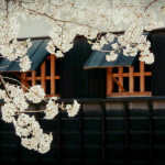 【不気味】春はあちらとこちらの世界の境界が少しあいまいになる